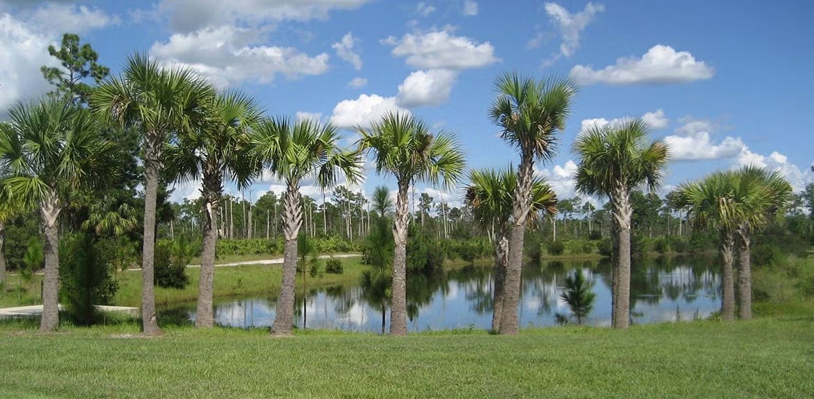 UCF Arboretum, United States